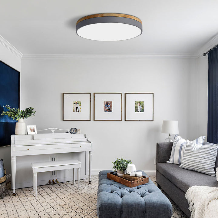 Modern LED ceiling light with a round design for living rooms and bedrooms