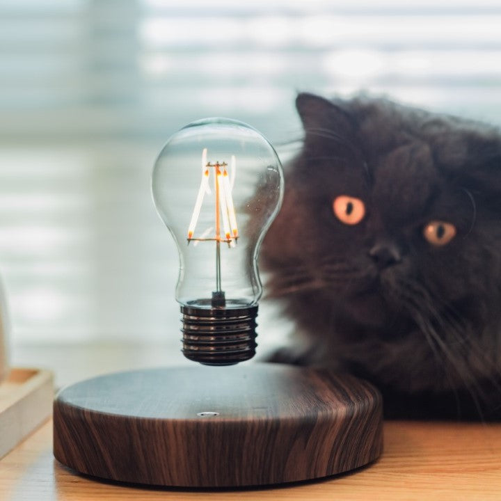 Floating lightbulb lamp with magnetic levitation