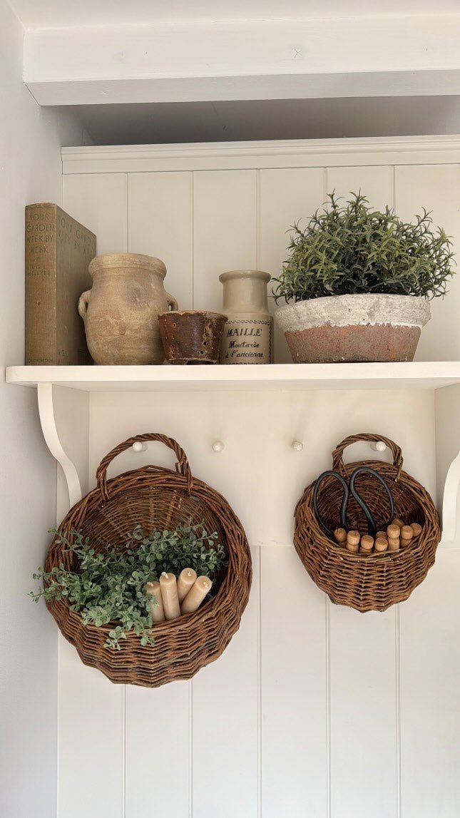 Wandkorb aus Rattan mit einer grünen Pflanze als natürliche Wanddekoration